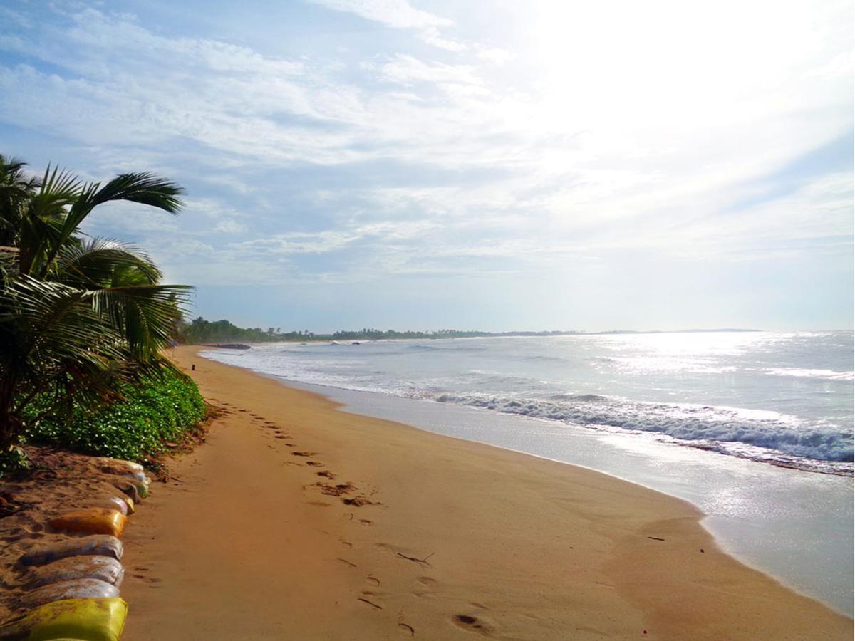 Reggae Zone Beach Resort Tangalle Kültér fotó